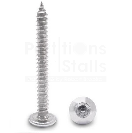 Stainless Steel #12 X 2" Long Screw 6 Lobe(T-27)